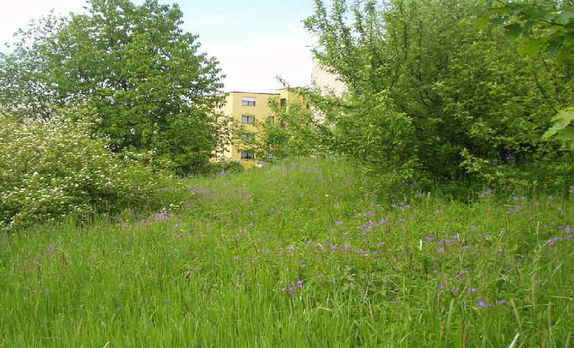 a_bund-naturschutz-passau-schmetterling002