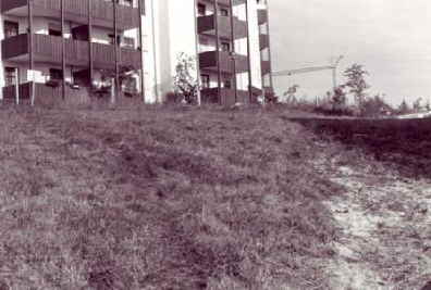 a_bund-naturschutz-passau-schmetterling05