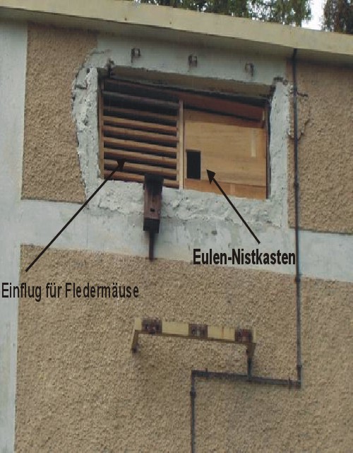 bund-Naturschutz-passau-Fledermaus1